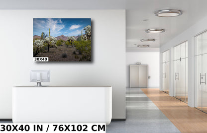 Organ Pipe National Monument Jumping Cholla and Saguaro Cactus Arizona Desert Wall Art