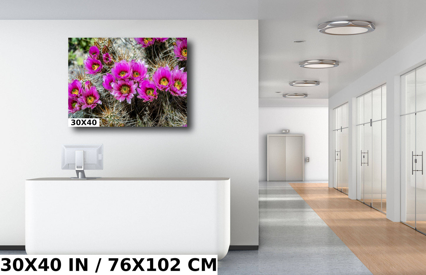 Prickly Beauty: Hedgehog Cactus Flower Metal Canvas Print Echinocereus Wall Art Arizona Desert Photography