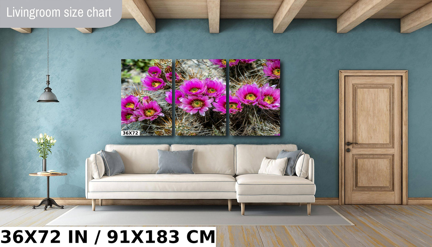 Prickly Beauty: Hedgehog Cactus Flower Metal Canvas Print Echinocereus Wall Art Arizona Desert Photography
