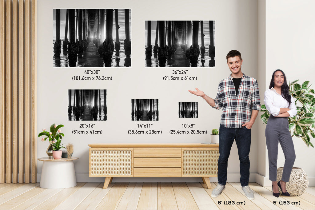 Oceanside Pier's Structural Beauty Monochromatic California Wall Art