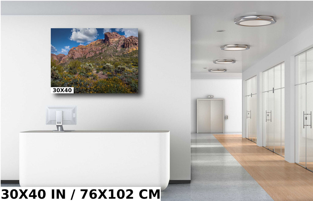 Organ Pipe Cactus National Monument Giant Rock and Wildflowers Wall Art Arizona Desert Landscape