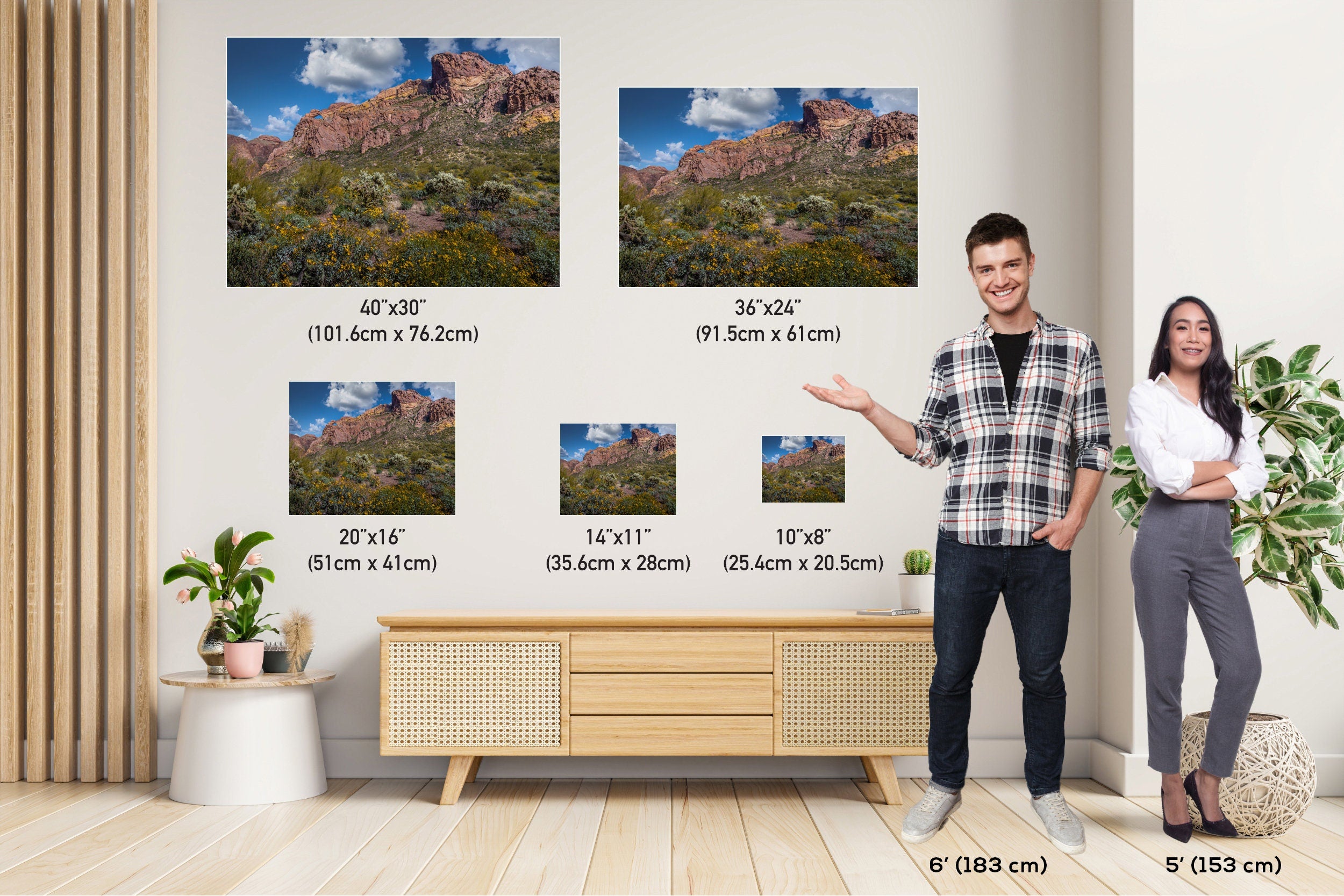 Organ Pipe Cactus National Monument Giant Rock and Wildflowers Wall Art Arizona Desert Landscape