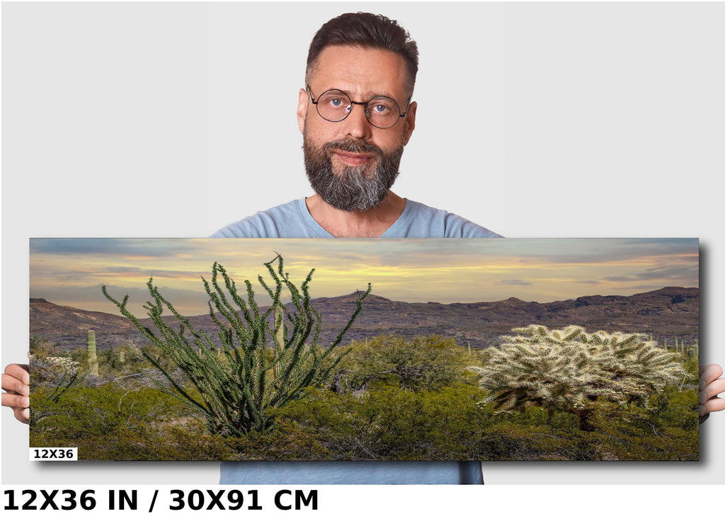 Ocotillo and Jumping Cholla in Organ Pipe Cactus National Monument Wall Art