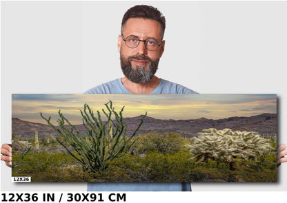 Ocotillo and Jumping Cholla in Organ Pipe Cactus National Monument Wall Art
