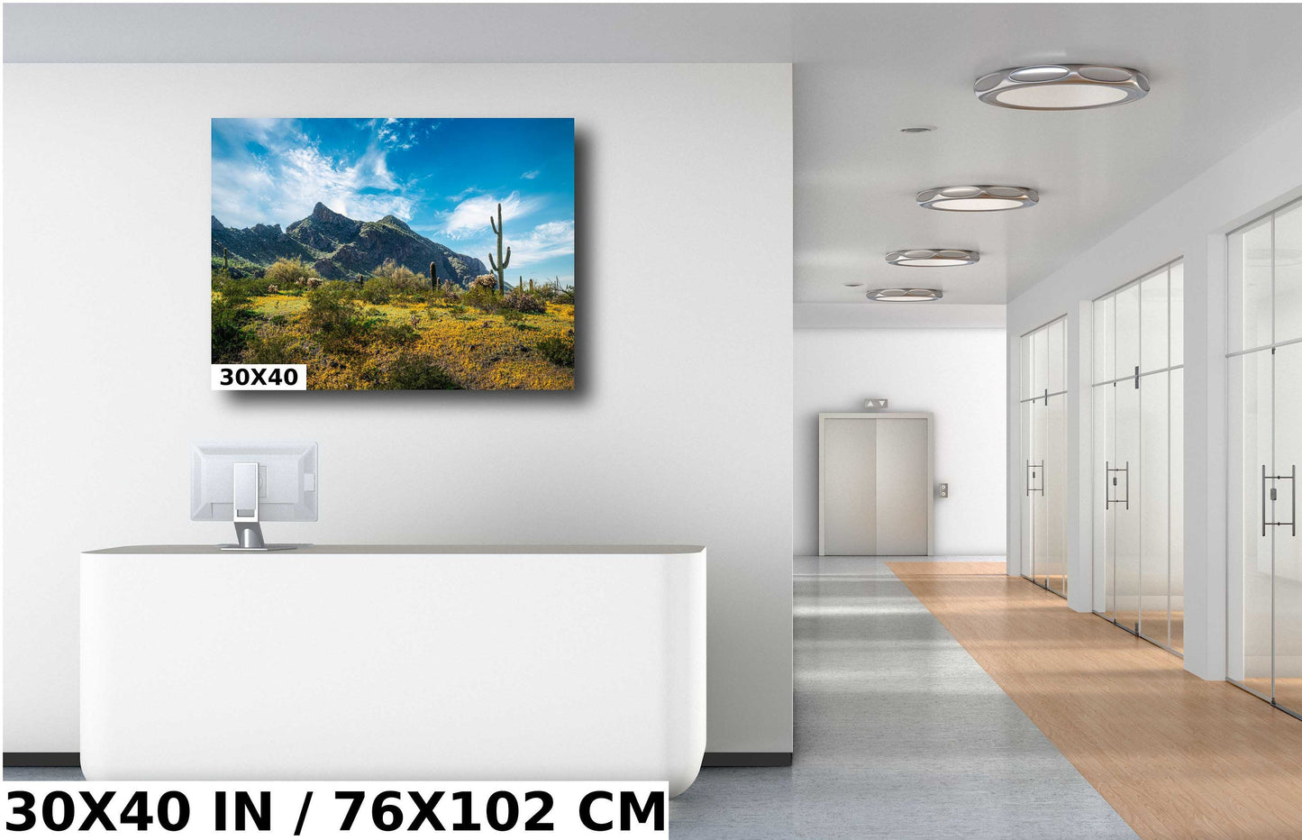 Picacho Peak Arizona Desert: Cactus and Wildflowers Photography Wall Art