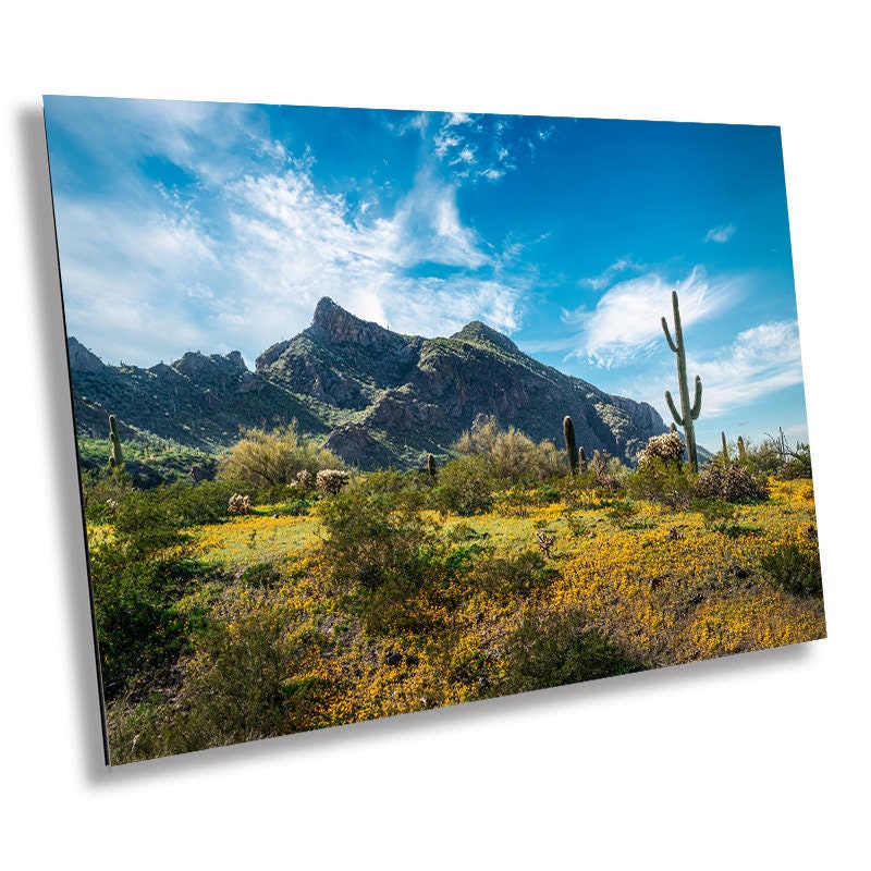 Picacho Peak Arizona Desert: Cactus and Wildflowers Photography Wall Art