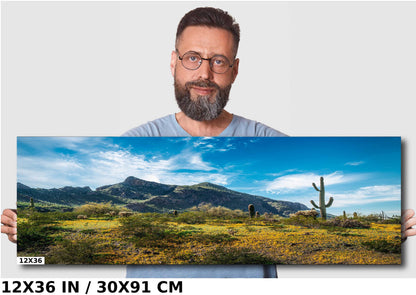 Picacho Peak Arizona Desert: Cactus and Wildflowers Photography Wall Art