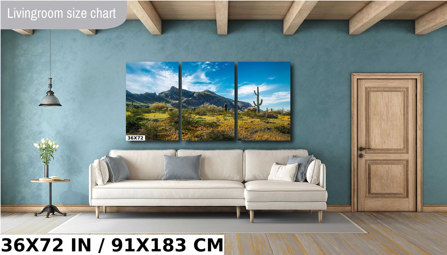 Picacho Peak Arizona Desert: Cactus and Wildflowers Photography Wall Art