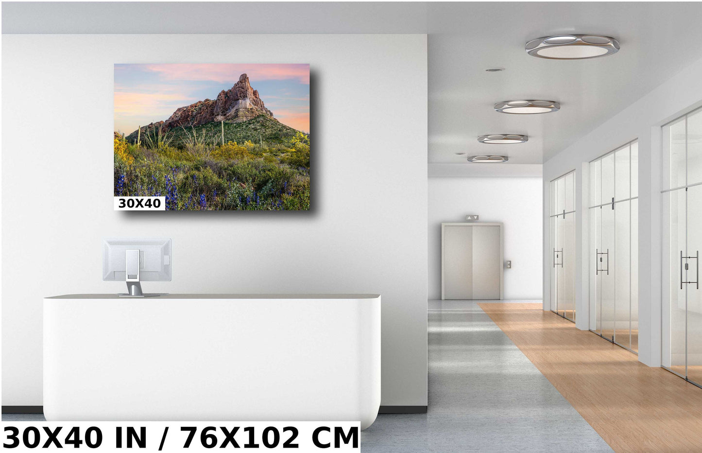 High Big Rocks and Wildflowers Organ Pipe Cactus National Monument Wall Art Arizona