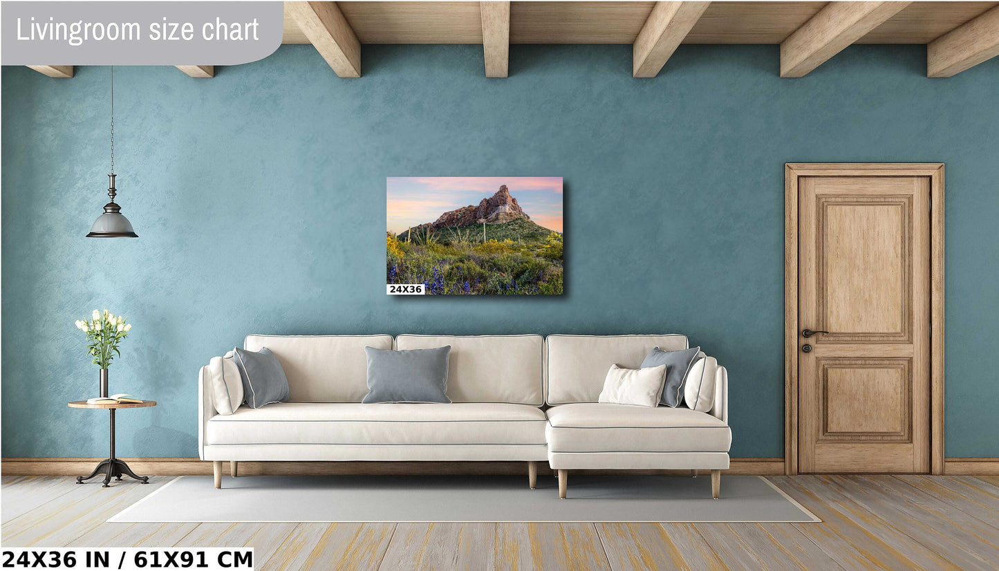 High Big Rocks and Wildflowers Organ Pipe Cactus National Monument Wall Art Arizona