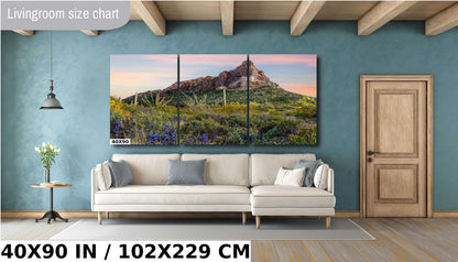 High Big Rocks and Wildflowers Organ Pipe Cactus National Monument Wall Art Arizona
