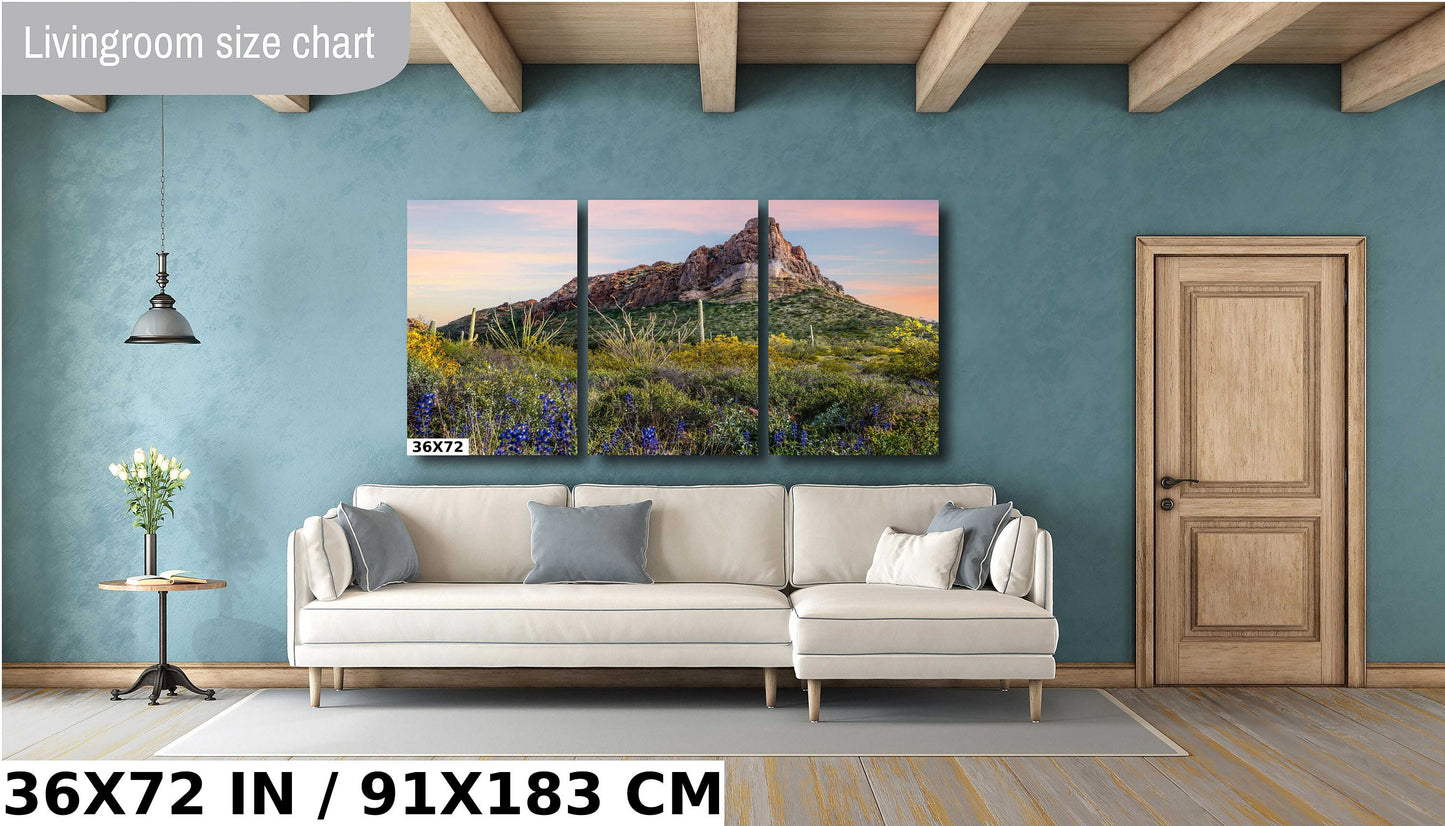 High Big Rocks and Wildflowers Organ Pipe Cactus National Monument Wall Art Arizona
