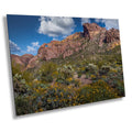 Organ Pipe Cactus National Monument Giant Rock and Wildflowers Wall Art Arizona Desert Landscape