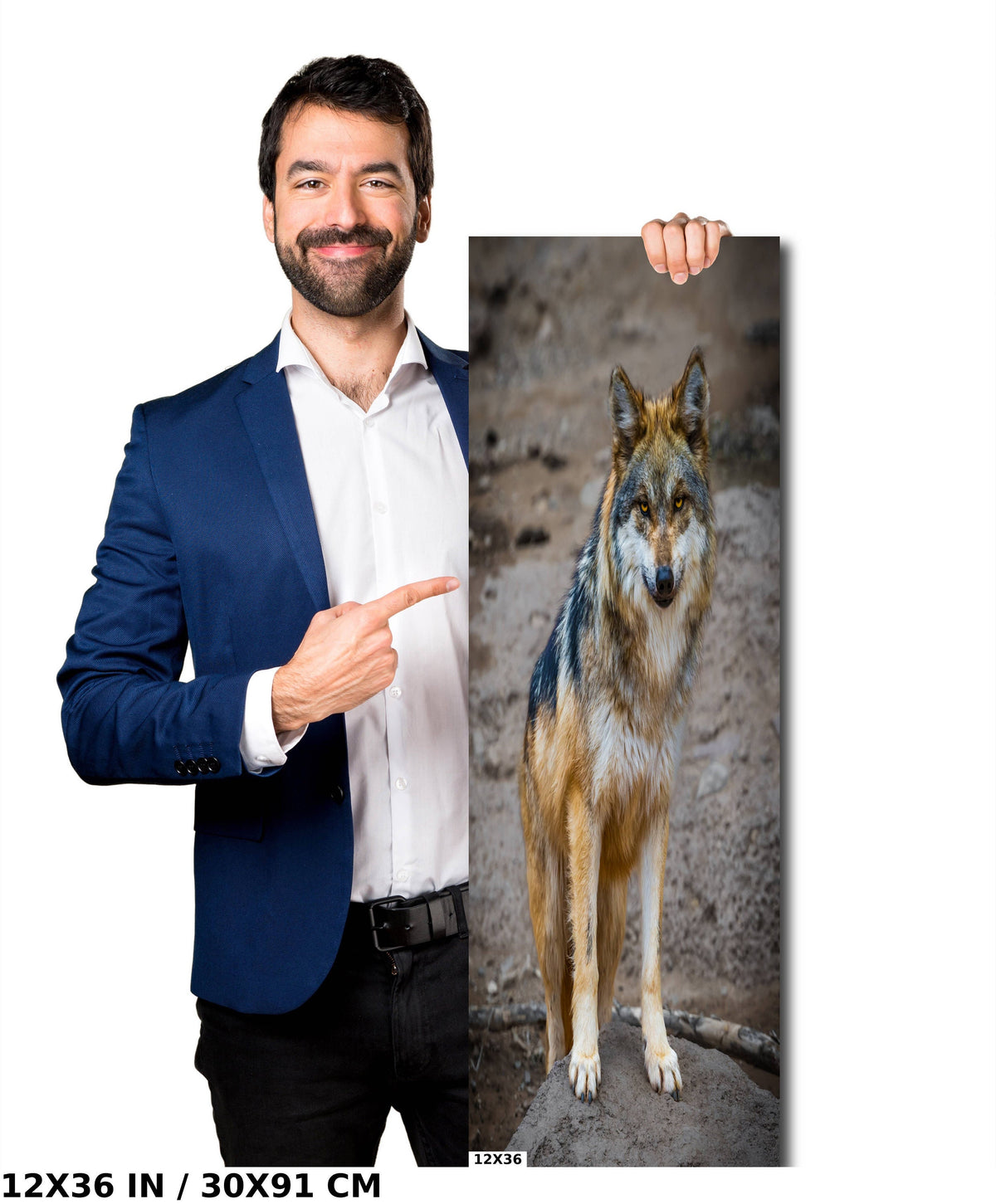You Look Delicious: A Mexican Wolf’s Piercing Stare Wall Art Metal Acrylic Print Wildlife Portrait Animal Photography
