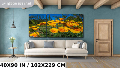 Golden Blooms: Mexican Gold Poppy Radiance in Organ Pipe National Monument Super Bloom Wall Art Metal Canvas Print