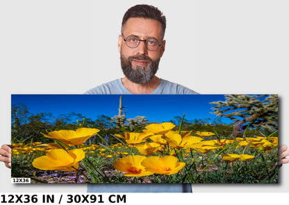 Golden Glory: Mexican Gold Poppies in Organ Pipe National Monument Super Bloom Metal Acrylic Print Wild Flower Wall Art Photography