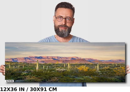 Ajo Mountain and Cacti in Organ Pipe Cactus National Monument Arizona Before Sunset Wall Art