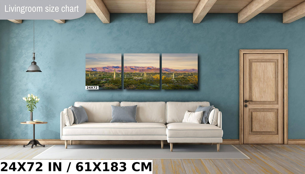 Ajo Mountain and Cacti in Organ Pipe Cactus National Monument Arizona Before Sunset Wall Art