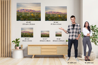 Ajo Mountain and Cacti in Organ Pipe Cactus National Monument Arizona Before Sunset Wall Art