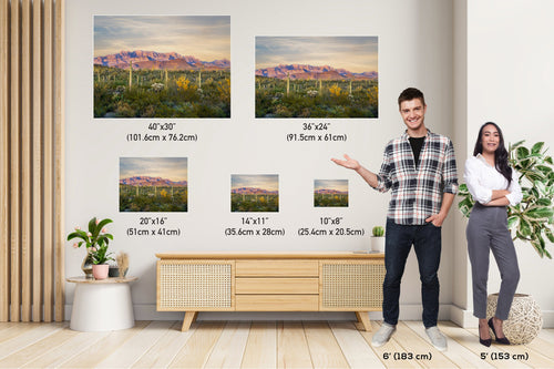 Ajo Mountain and Cacti in Organ Pipe Cactus National Monument Arizona Before Sunset Wall Art