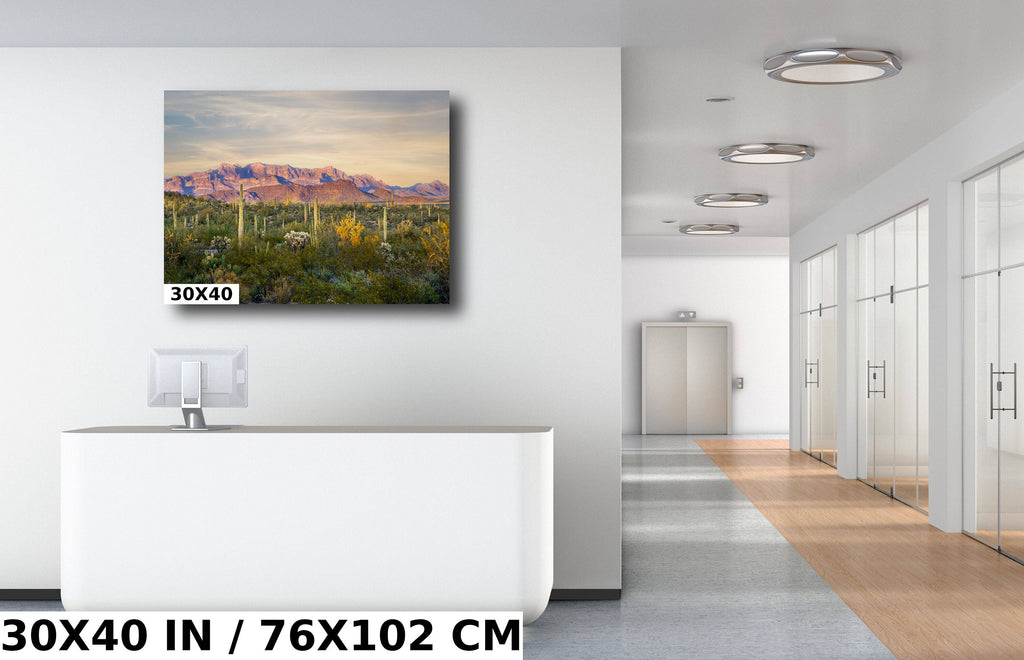 Ajo Mountain and Cacti in Organ Pipe Cactus National Monument Arizona Before Sunset Wall Art