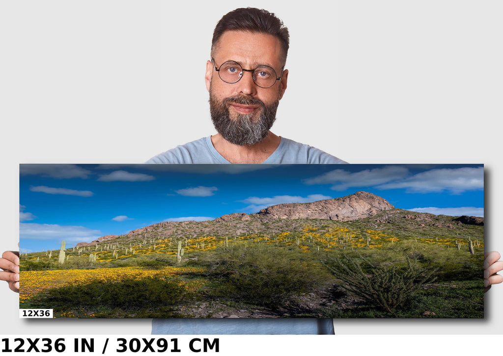 Picacho Peak Poppy Bloom: Arizona Desert Landscape Photography Wall Art