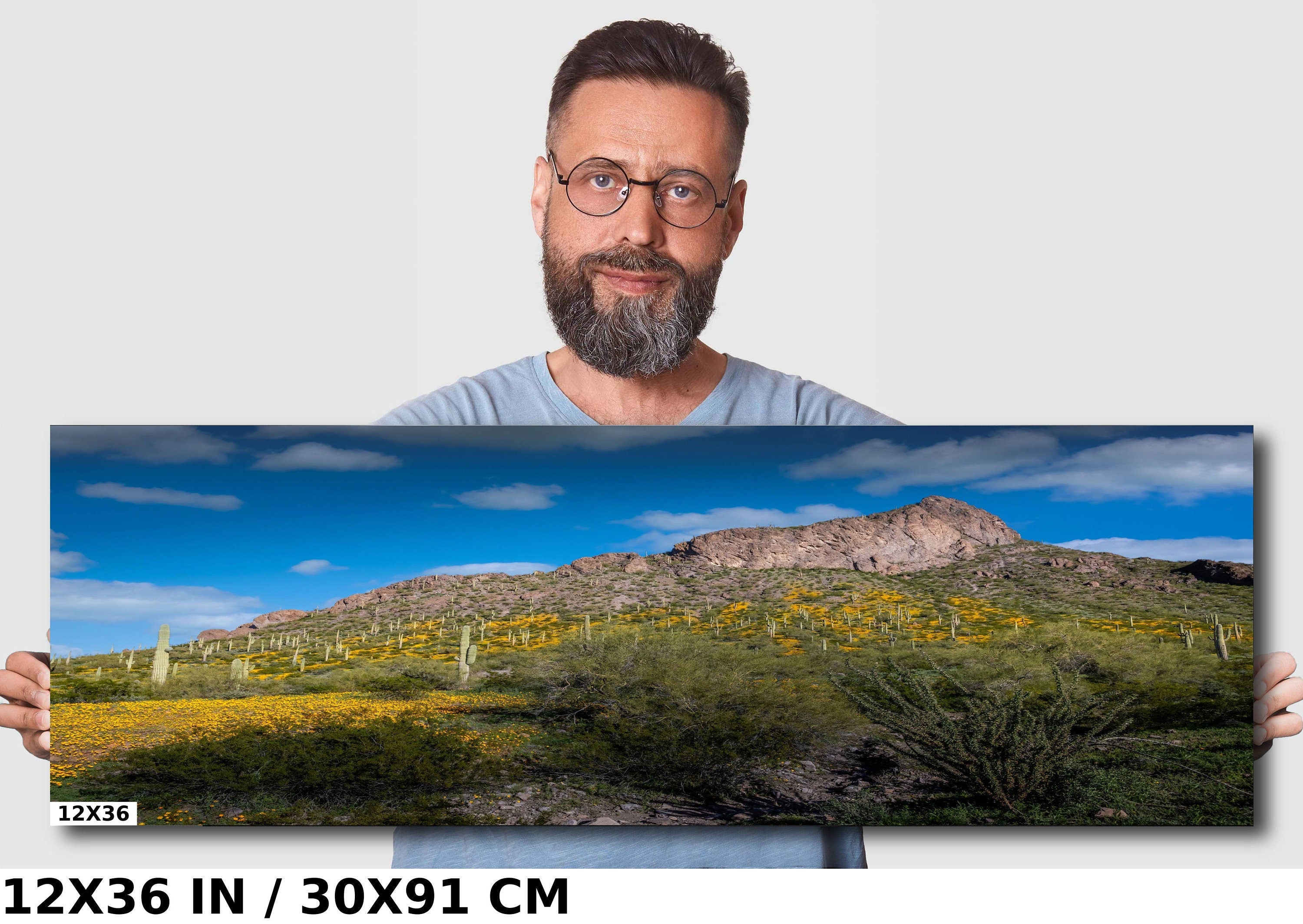 Picacho Peak Poppy Bloom: Arizona Desert Landscape Photography Wall Art