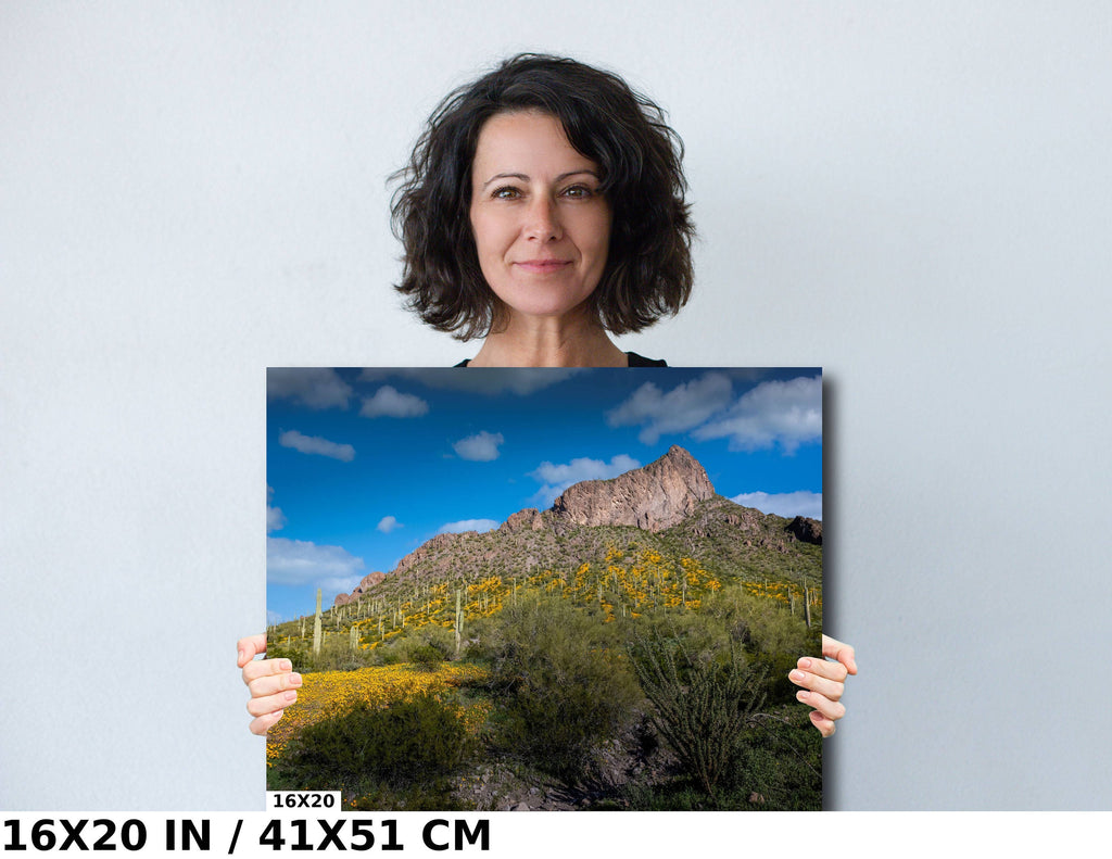 Picacho Peak Poppy Bloom: Arizona Desert Landscape Photography Wall Art