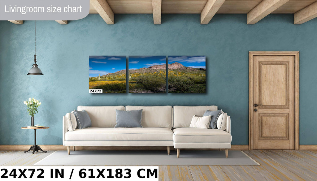 Picacho Peak Poppy Bloom: Arizona Desert Landscape Photography Wall Art