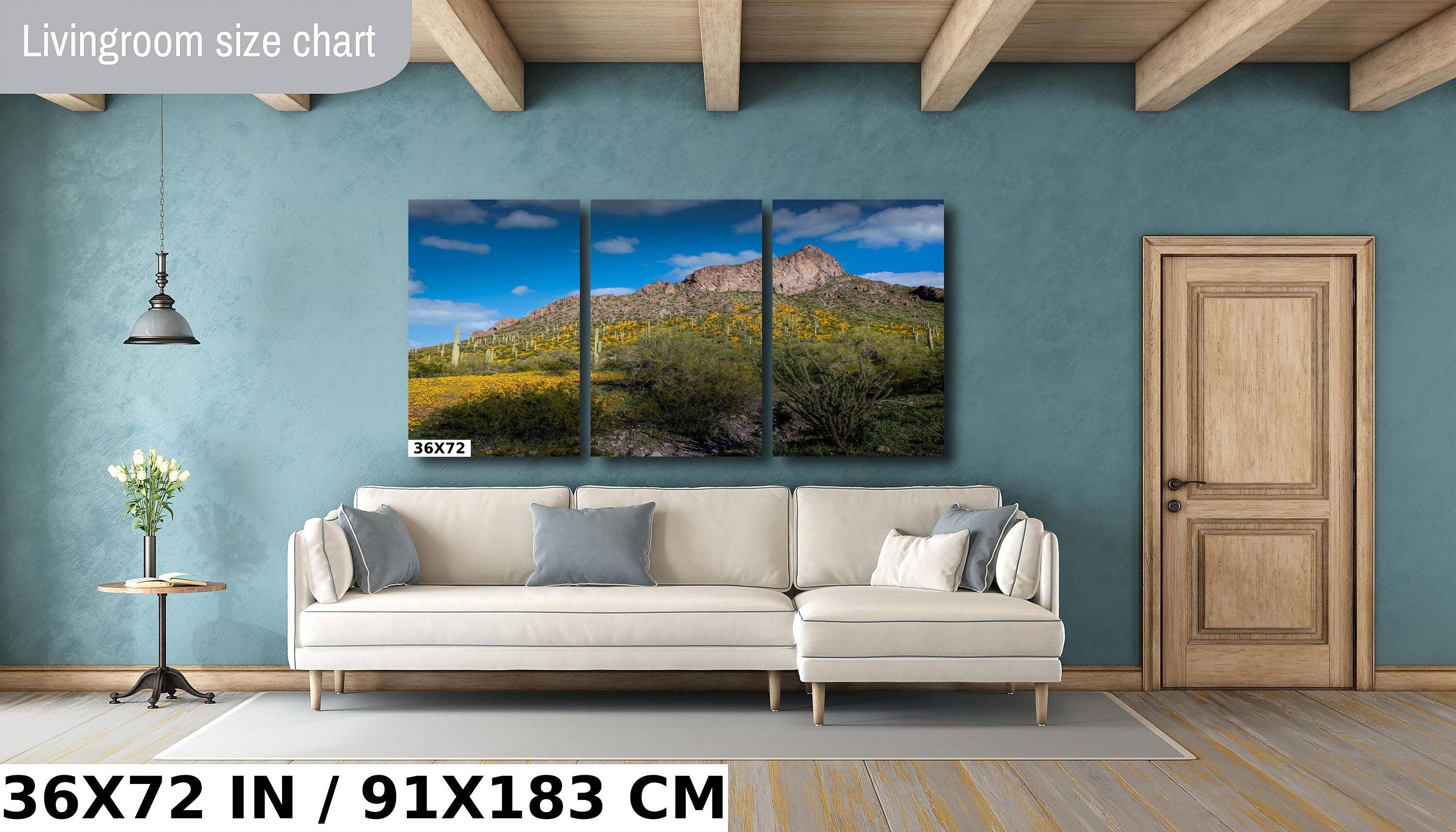 Picacho Peak Poppy Bloom: Arizona Desert Landscape Photography Wall Art