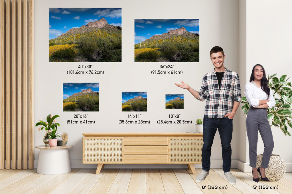 Picacho Peak Poppy Bloom: Arizona Desert Landscape Photography Wall Art