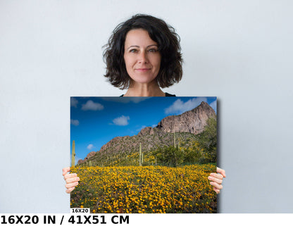 Golden Poppy and Saguaro Cactus Arizona Desert Wall Art