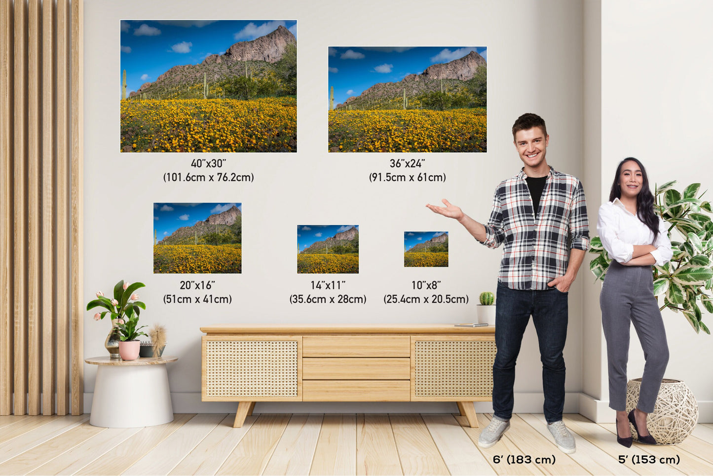 Golden Poppy and Saguaro Cactus Arizona Desert Wall Art