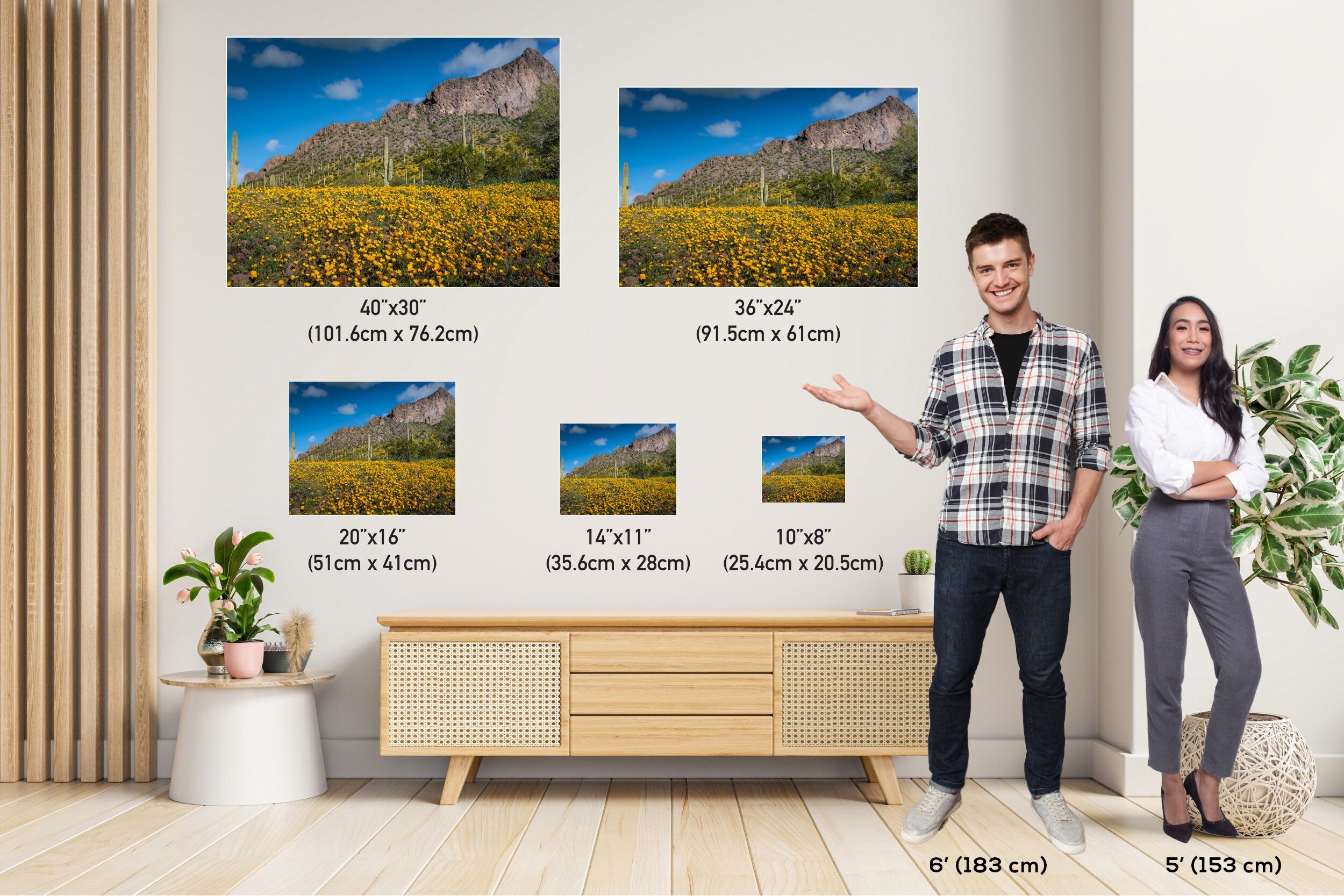 Golden Poppy and Saguaro Cactus Arizona Desert Wall Art