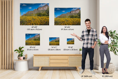 Golden Poppy and Saguaro Cactus Arizona Desert Wall Art