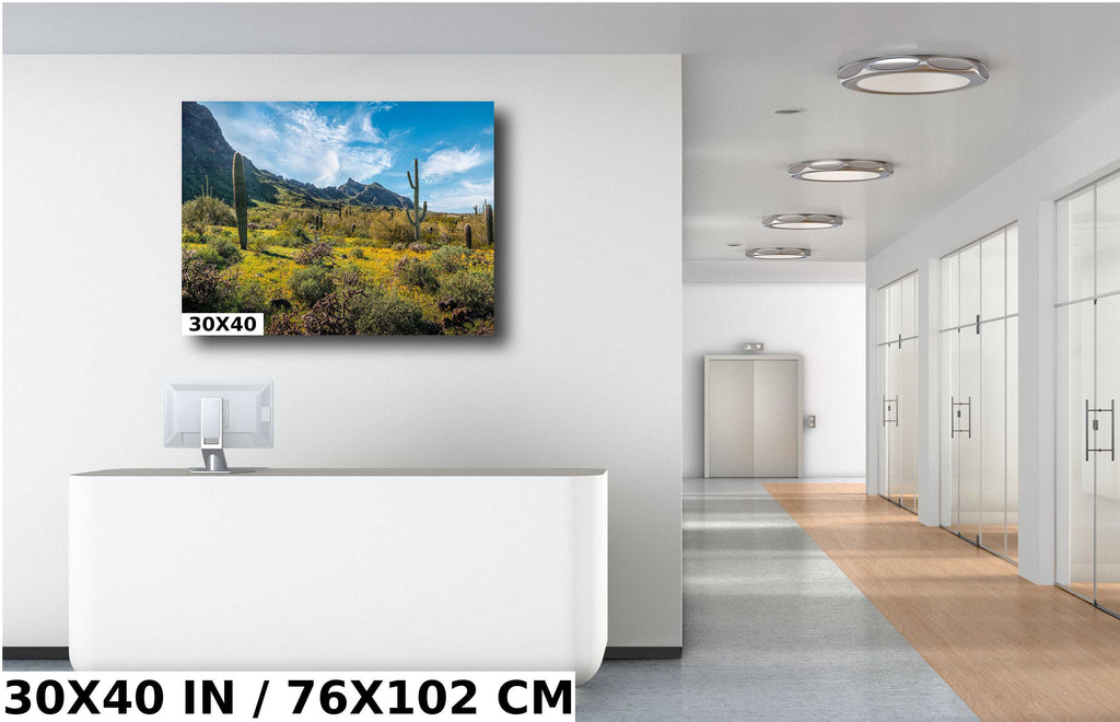 Picacho Peak Super Bloom: Arizona Desert Saguaro Cacti & Wildflowers Wall Art