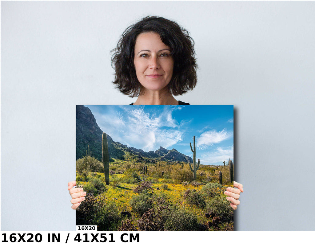 Picacho Peak Super Bloom: Arizona Desert Saguaro Cacti & Wildflowers Wall Art
