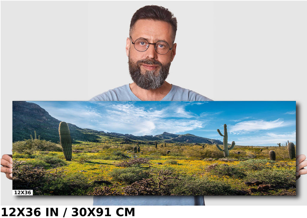 Picacho Peak Super Bloom: Arizona Desert Saguaro Cacti & Wildflowers Wall Art