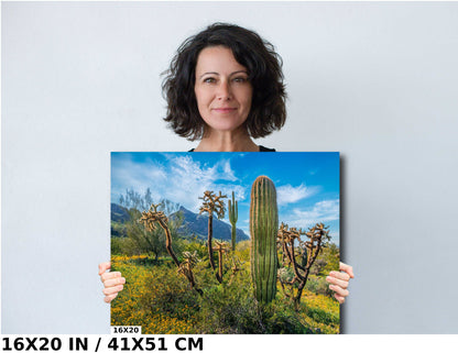 Picacho Peak Cactus & Wildflower: Arizona Desert Wall Art