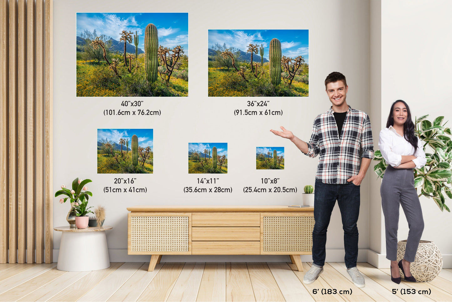 Picacho Peak Cactus & Wildflower: Arizona Desert Wall Art