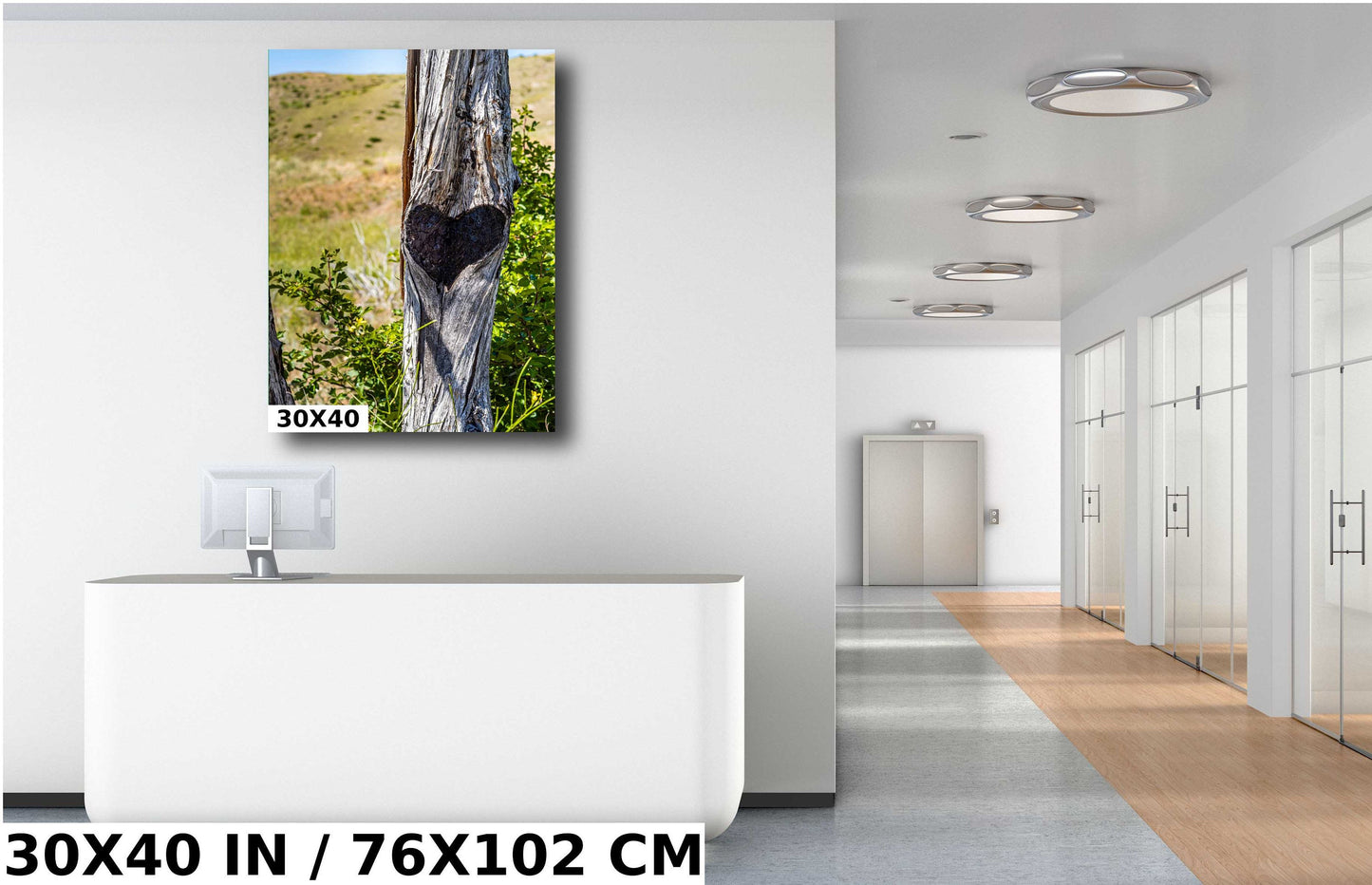 Lost Creek Falls Print: Montana Landscape Wall Art