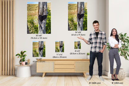 Lost Creek Falls Print: Montana Landscape Wall Art