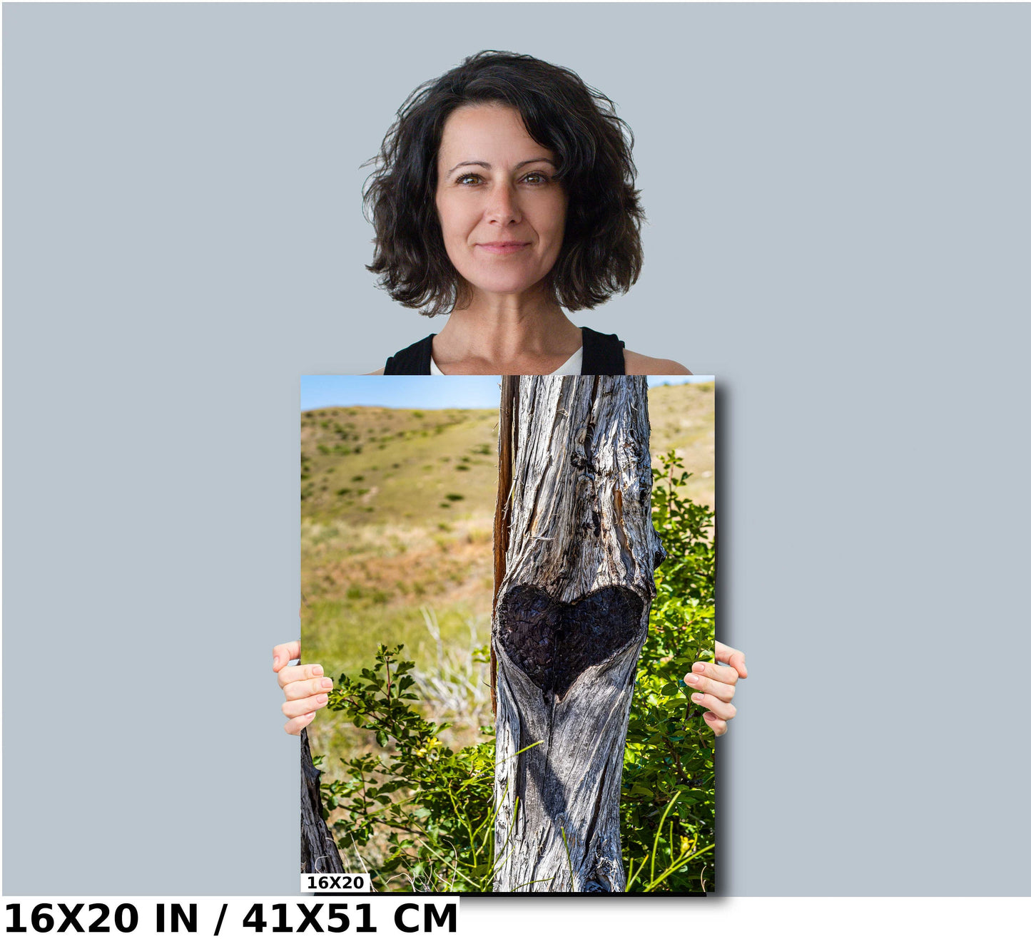 Lost Creek Falls Print: Montana Landscape Wall Art