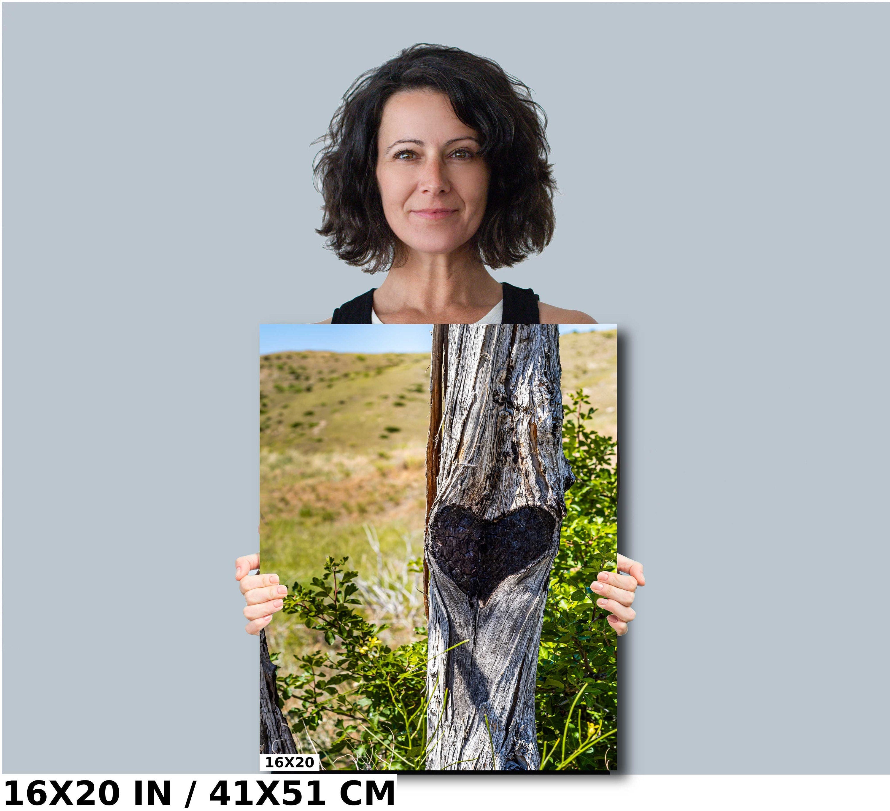 Lost Creek Falls Print: Montana Landscape Wall Art
