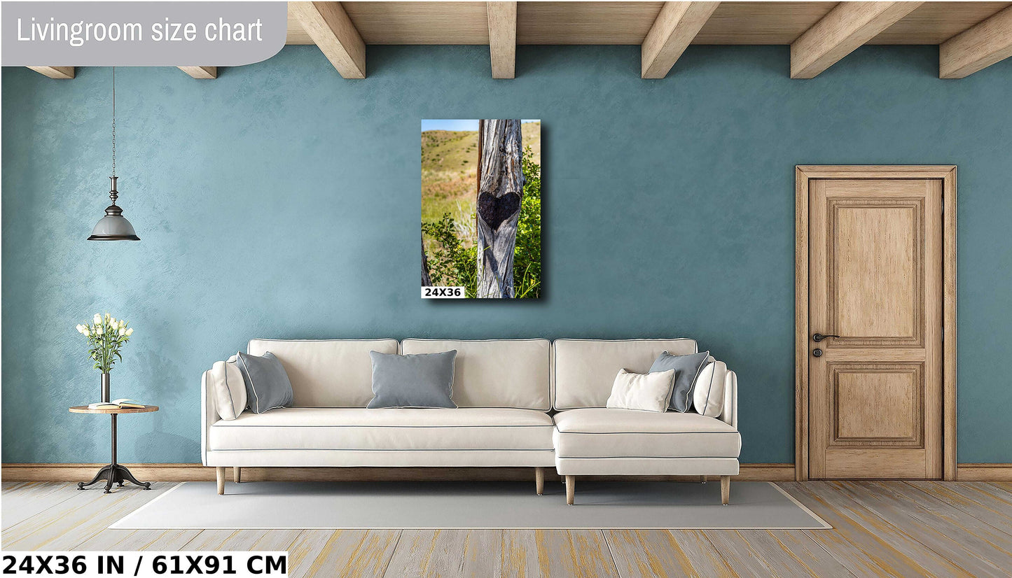 Lost Creek Falls Print: Montana Landscape Wall Art