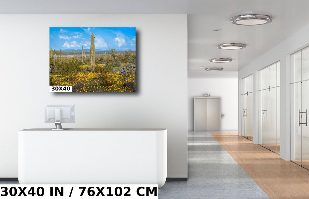 Desert Bloom Saguaro Cactus and Mexican Gold Poppies Wall Art