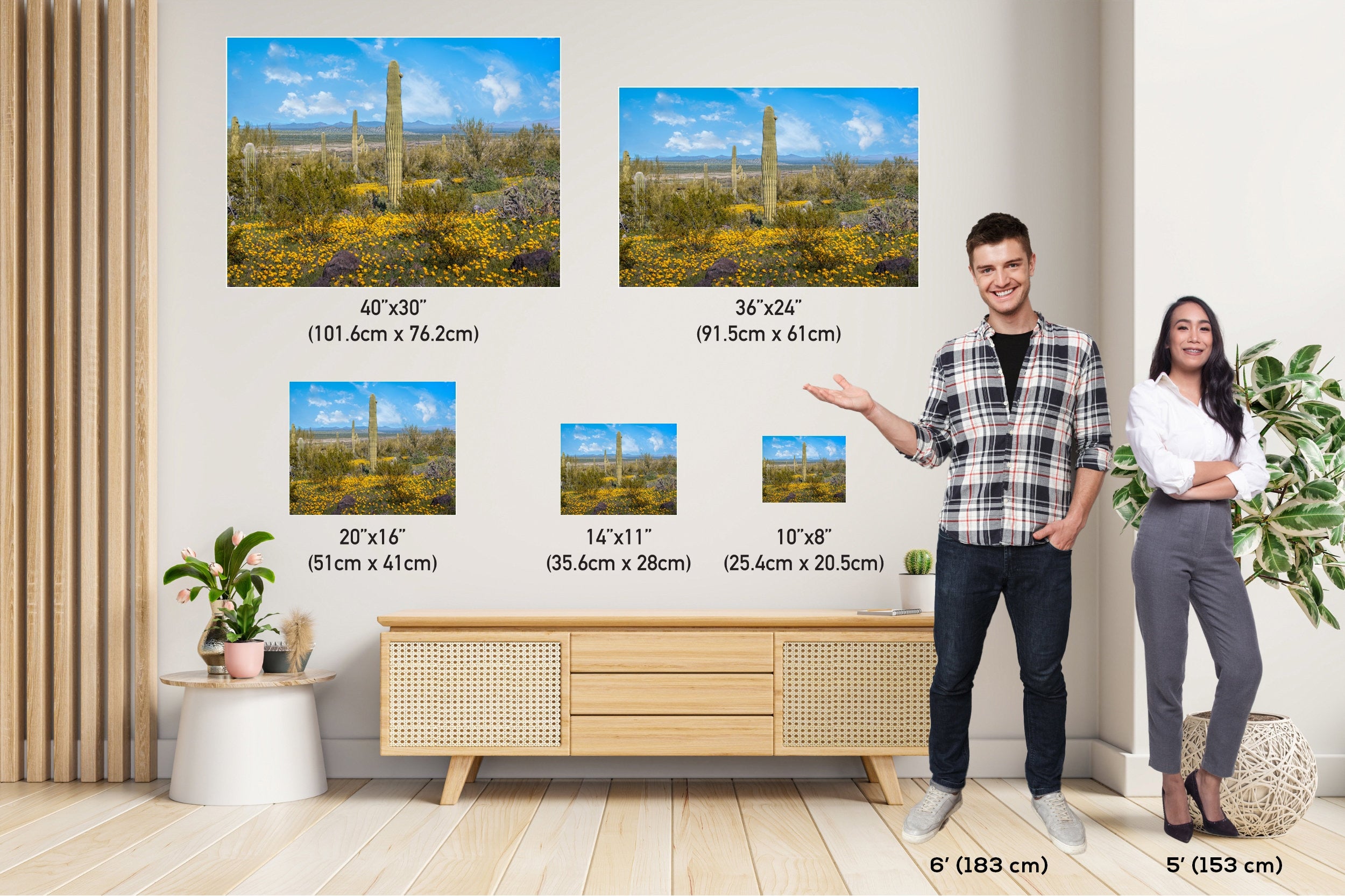 Desert Bloom Saguaro Cactus and Mexican Gold Poppies Wall Art