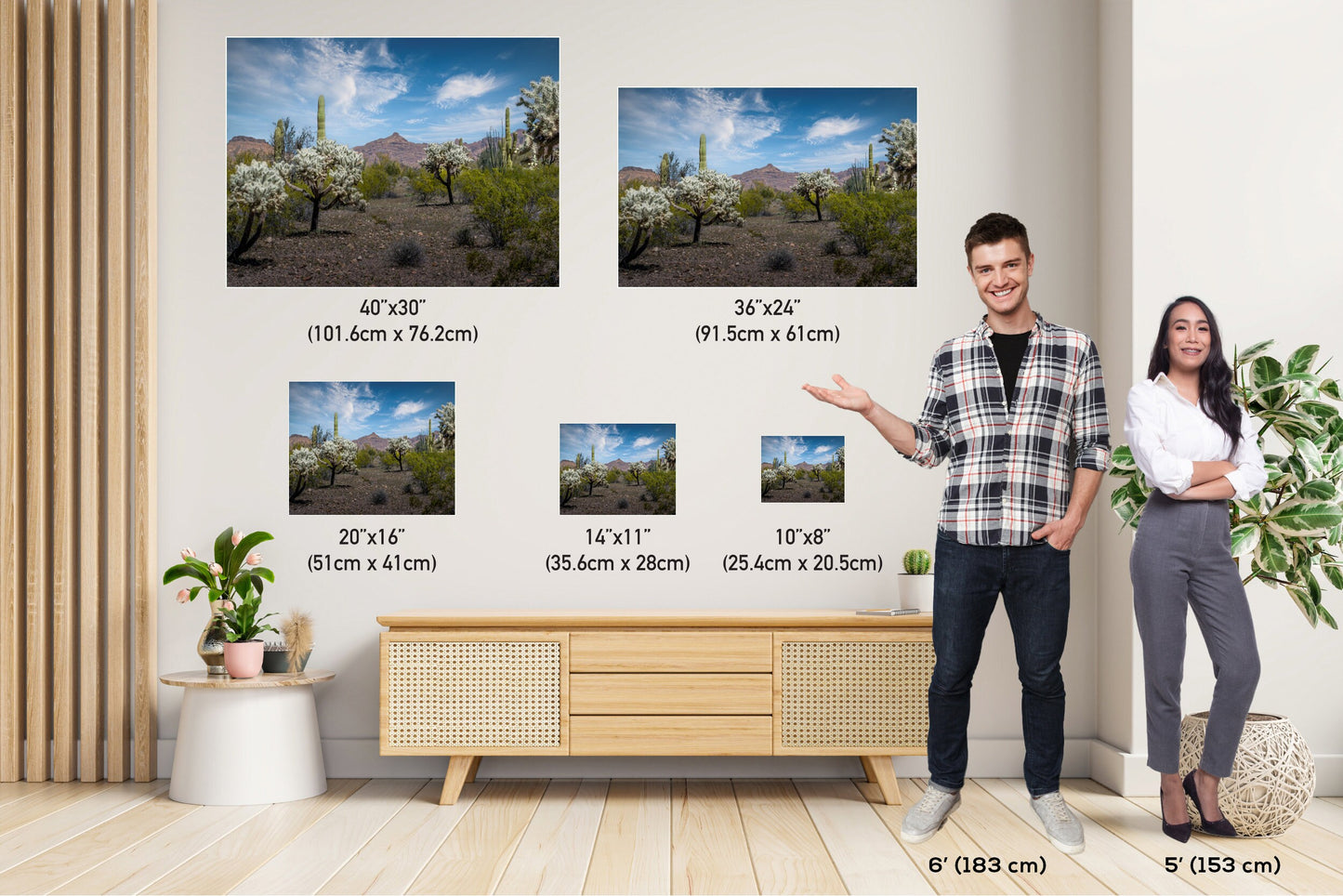 Organ Pipe National Monument Jumping Cholla and Saguaro Cactus Arizona Desert Wall Art