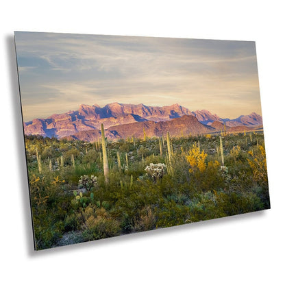 Ajo Mountain and Cacti in Organ Pipe Cactus National Monument Arizona Before Sunset Wall Art