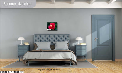 Floral Awakening: Red Hibiscus Flower About to Bloom Wall Art Metal Acrylic Print Flower Photography